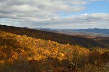 Shenandoah National Park